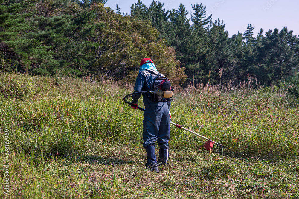 brushcutter-man-2.jpg
