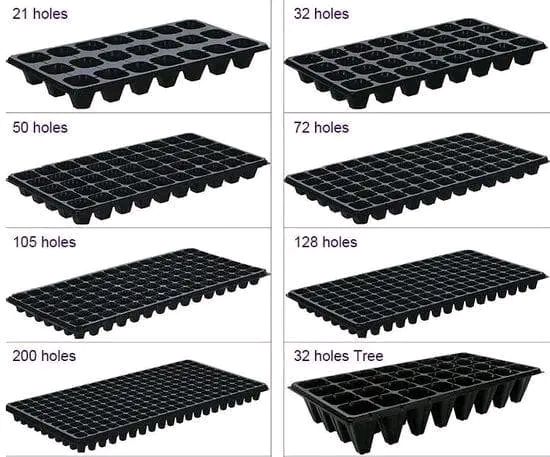 Seedling Trays - Image 2