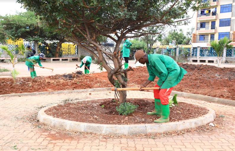 Green spaces and landscaping work supporting Eden's green workforce vision