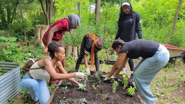 Landscaping and green environment supporting sustainable communities