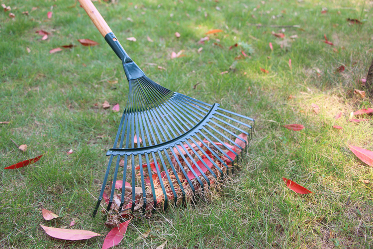 22 Teeth Iron Claws Garden Leaf Rake - Image 3